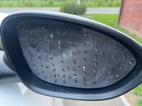 IMG_5312.jpeg