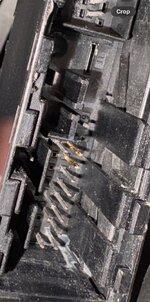 IMG_2365.jpeg