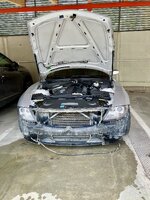 IMG_2156.jpeg