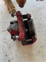 IMG_8144.jpeg
