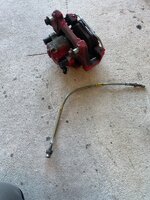 IMG_8145.jpeg