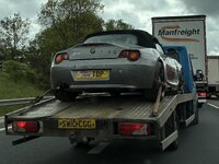 IMG_0974.jpeg