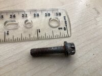 IMG_0118.jpeg