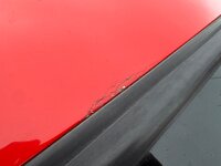 IMG_7706.jpeg