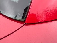 IMG_7709.jpeg