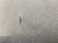 IMG_0119.jpeg