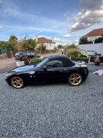 IMG_8137.jpeg