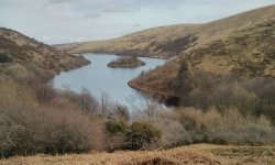 Meldon by Mum 03.jpg Meldon by Mum 03.jpg