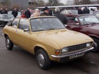 lovely little runner.jpg