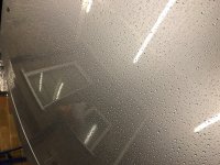 IMG_0249.JPG