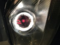 A50B6621-7912-4A78-9056-903DA51DC0F5.jpeg A50B6621-7912-4A78-9056-903DA51DC0F5.jpeg
