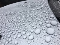 362A70F1-018A-4866-8257-979763F4F9E7.jpeg