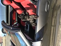 5072510C-8CBE-480D-BD41-A0115A76CFDF.jpeg