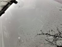 20180409_165418.jpg