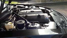 20180414_163549.jpg
