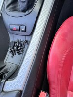 IMG_3535.jpeg