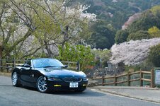 DSC_8167 (3).jpg