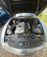IMG_0782.jpeg