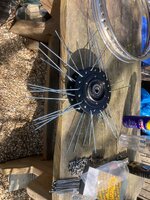 IMG_5123.jpeg