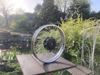 IMG_5126.jpeg
