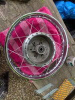 IMG_5401.jpeg