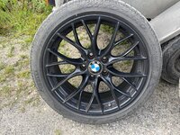 IMG_8865.jpeg IMG_8865.jpeg