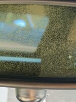 IMG_20260528_105608166.jpg