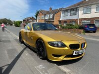 IMG_7349.jpeg