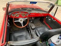 IMG_3798.jpeg