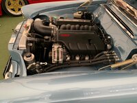 IMG_3774.jpeg