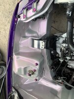 IMG_3767.jpeg