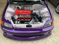 IMG_3766.jpeg