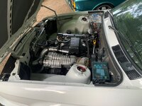 IMG_3763.jpeg