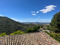IMG_1939.jpeg