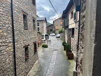 IMG_1967.jpeg