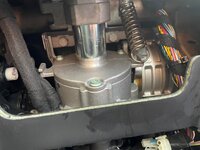 IMG_5709.jpeg