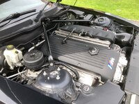 IMG_6157.jpeg