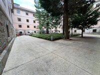 IMG_2216.jpeg