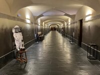 IMG_2210.jpeg