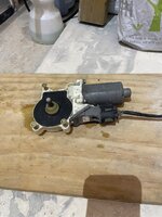IMG_8317.jpeg