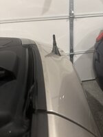 IMG_8403.jpeg