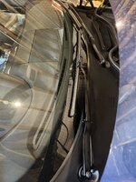 IMG_9465.jpeg