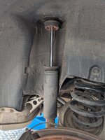 PXL_20260412_124722690.jpg