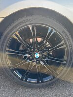 IMG_3231.jpeg