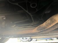 IMG_5232.jpeg IMG_5232.jpeg