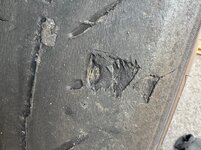 IMG_5282.jpeg