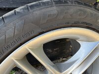 IMG_8581.JPG