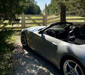 IMG_3204.jpeg