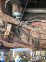IMG_0031.jpeg