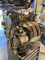 IMG_0059.jpeg